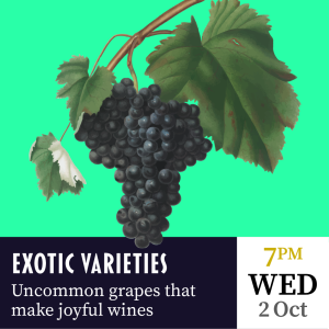 Wed 2nd October. Exotic Varieties